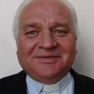 Pálfi  János
